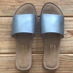 Coconuts By Matisse Slides